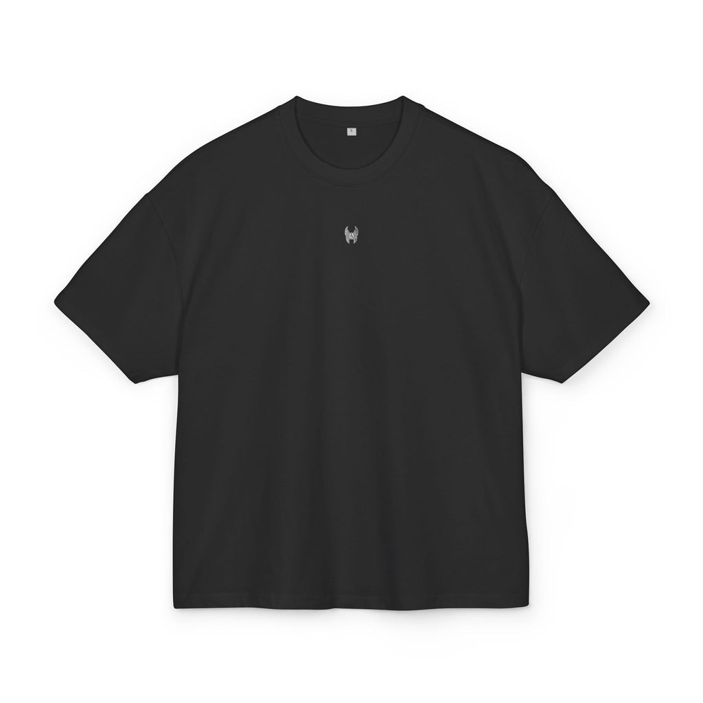 Alpha Omega ASCEND - Ultra Heavy Tee - Prince of Warriors